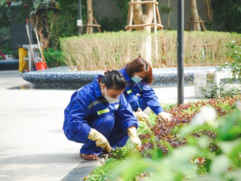 Nh&acirc;n vi&ecirc;n TNPM đang chăm s&oacute;c cảnh quan trong khu đ&ocirc; thị. &nbsp;