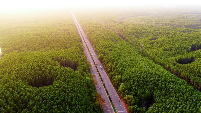Khu dự trữ sinh quyển UNESCO rừng S&aacute;c - &ldquo;cửa ng&otilde; thi&ecirc;n nhi&ecirc;n&rdquo; tạo n&ecirc;n gi&aacute; trị kh&ocirc;ng thể sao ch&eacute;p cho Vinhomes Green Paradise