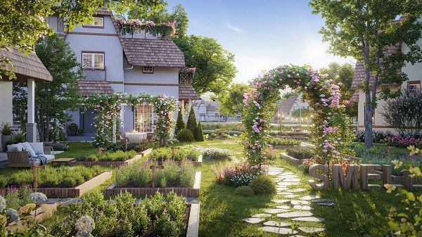Khu vườn thảo dược cung cấp tinh dầu tự nhi&ecirc;n n&acirc;ng cao sức khỏe &nbsp;