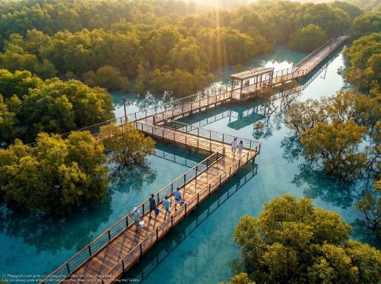 Mạng lưới c&acirc;y xanh v&agrave; mặt nước quy hoạch s&aacute;t hi&ecirc;n nh&agrave; đưa thi&ecirc;n nhi&ecirc;n v&agrave;o từng nhịp sống.
